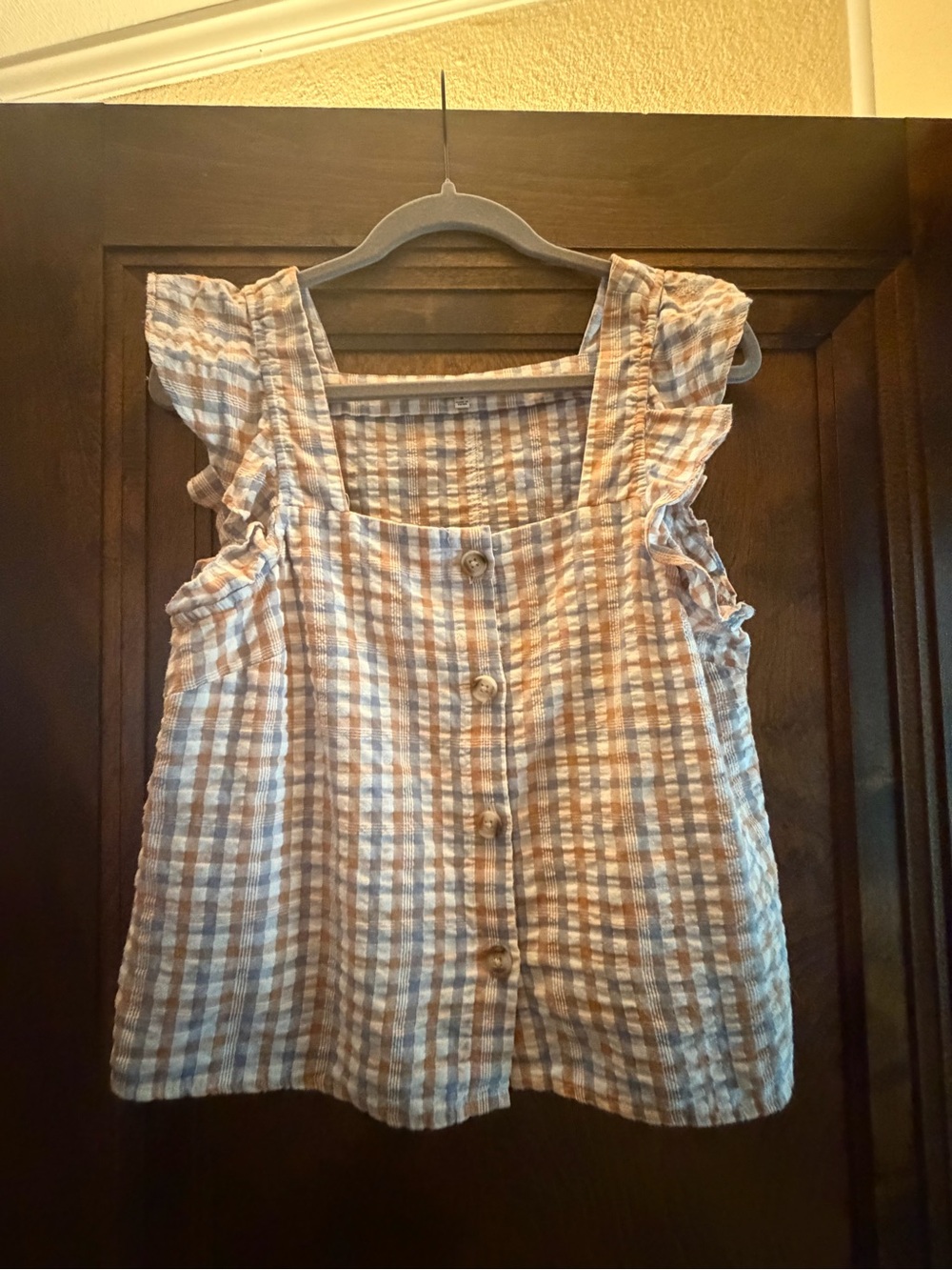 Madewell Blue & Tan Gingham Button-Front Top